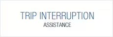 Trip Interruption